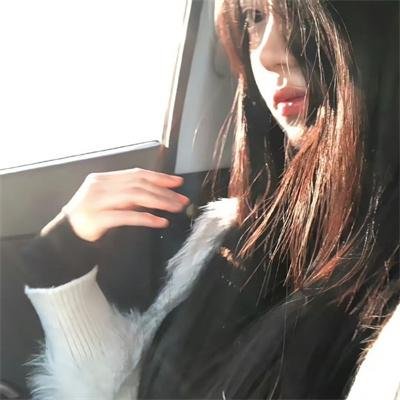 被炉、蜜桔和小猫